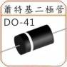 Schottky Diode DO-41